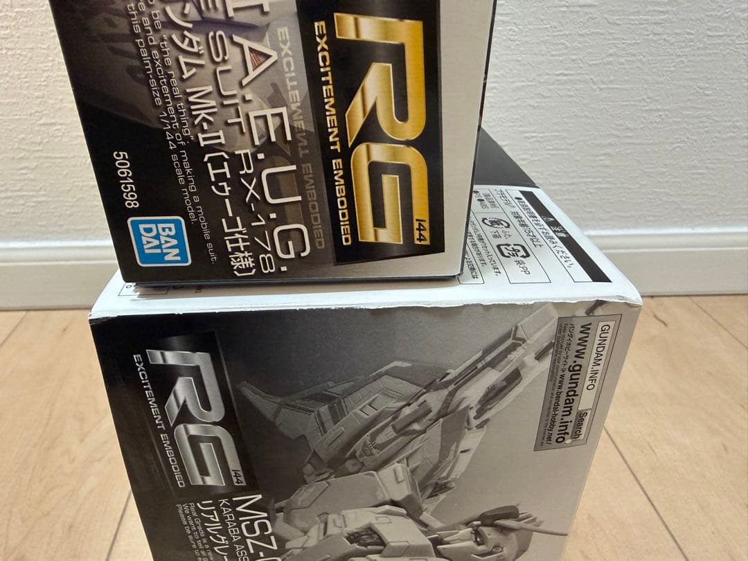 ［1/31 削除］ RGガンプラ2体セット