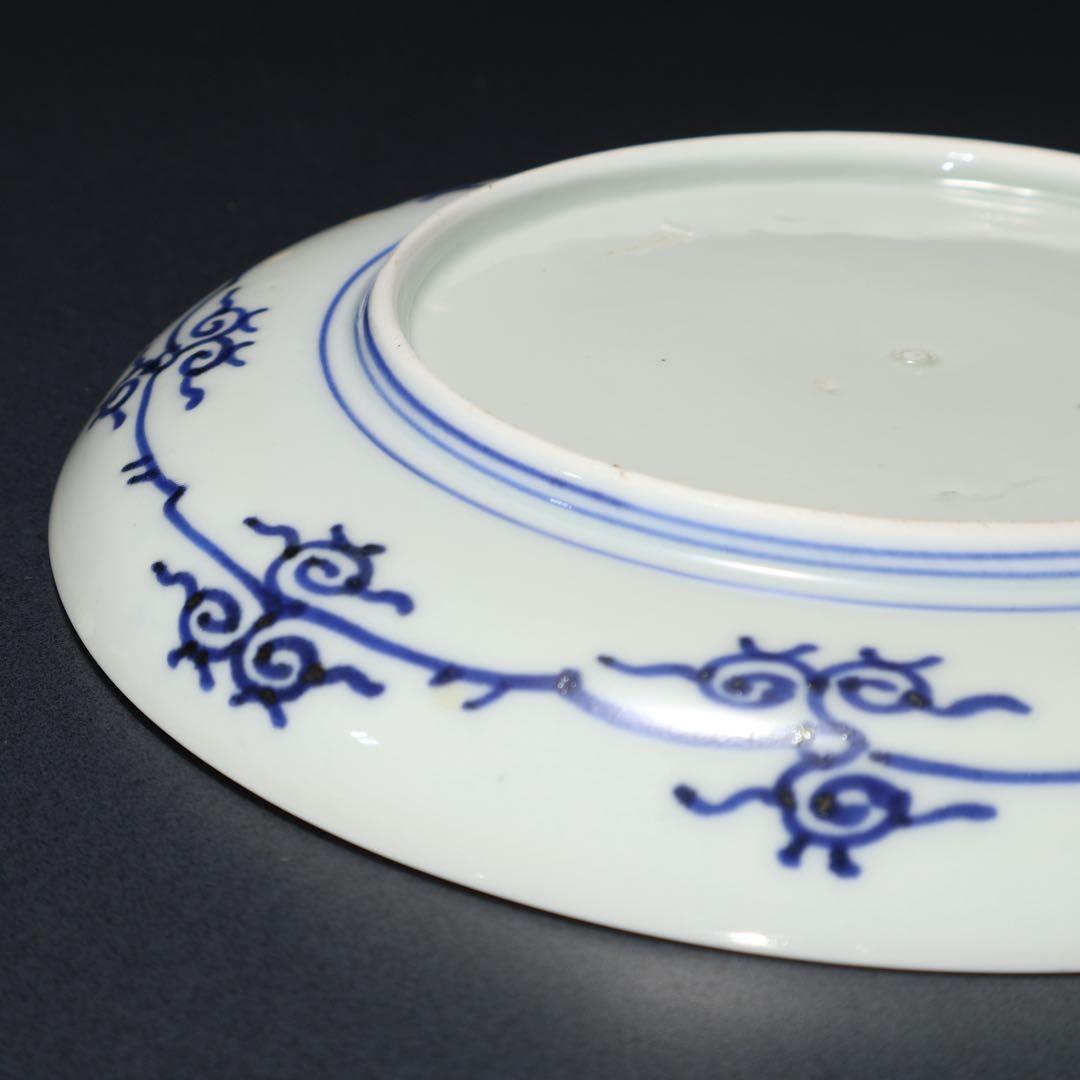 伊万里染付龍文七寸皿　∅21㎝　通り文　骨董　古伊万里　R1480w3B2