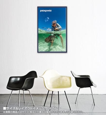 Edward Truter brings/パタゴニア/ポスター