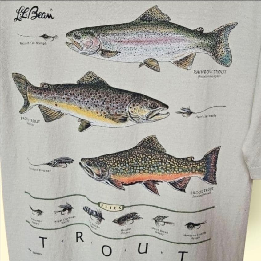 LLBean メンズ 半袖Tシャツ Sサイズ FRUIT OF THE LOOM