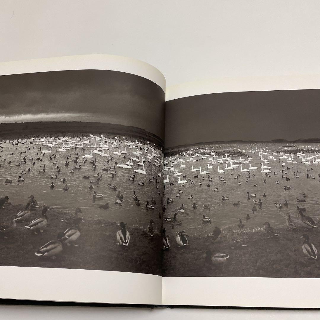 アート・デザイン・音楽 here far away / pentti sammallahti