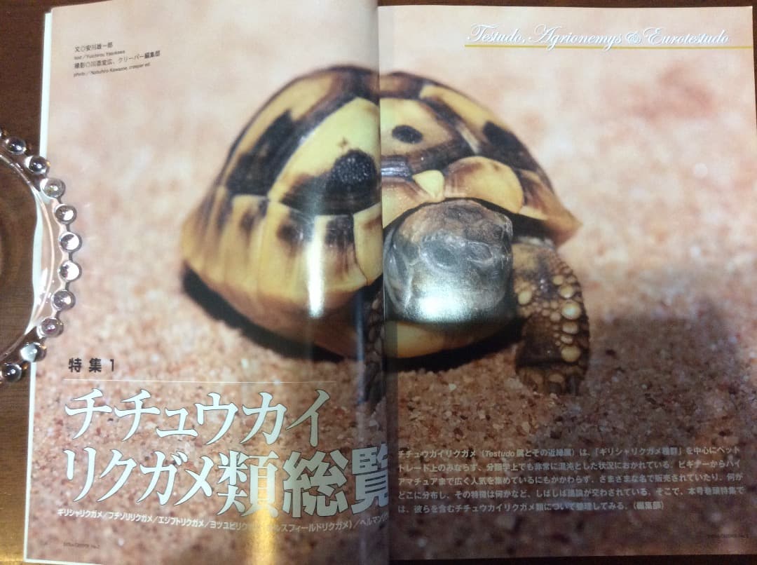 EXTRA CREEPER エクストラ・クリーパー 全4冊 誠文堂新光社