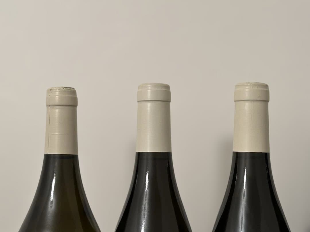 【特価】【自然派ワイン】ジュリアン ラベ、パタイユ、ルーセマルタン 6本セット