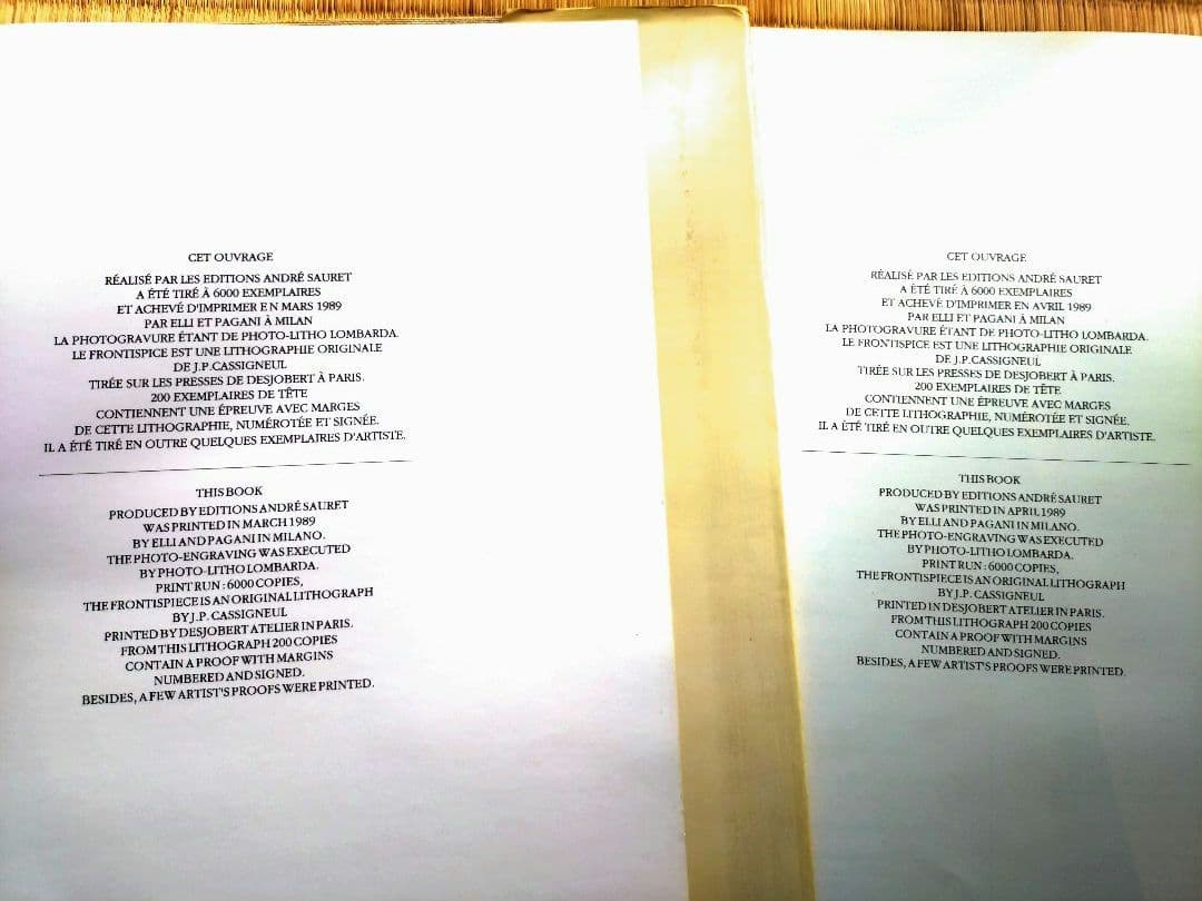 【値下げ】カシニョール 大判画集1・2セット