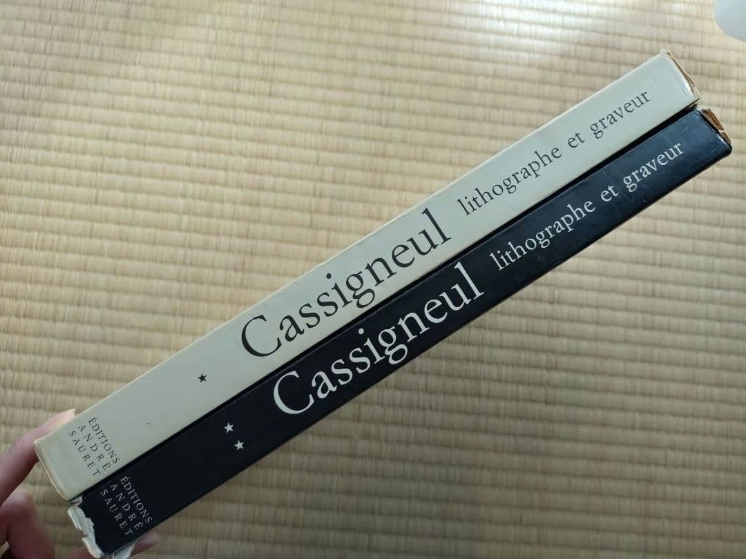 【値下げ】カシニョール 大判画集1・2セット