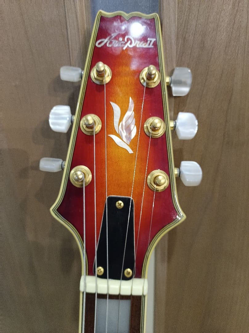 Aria pro Ⅱ　PE-DLX エレキギター