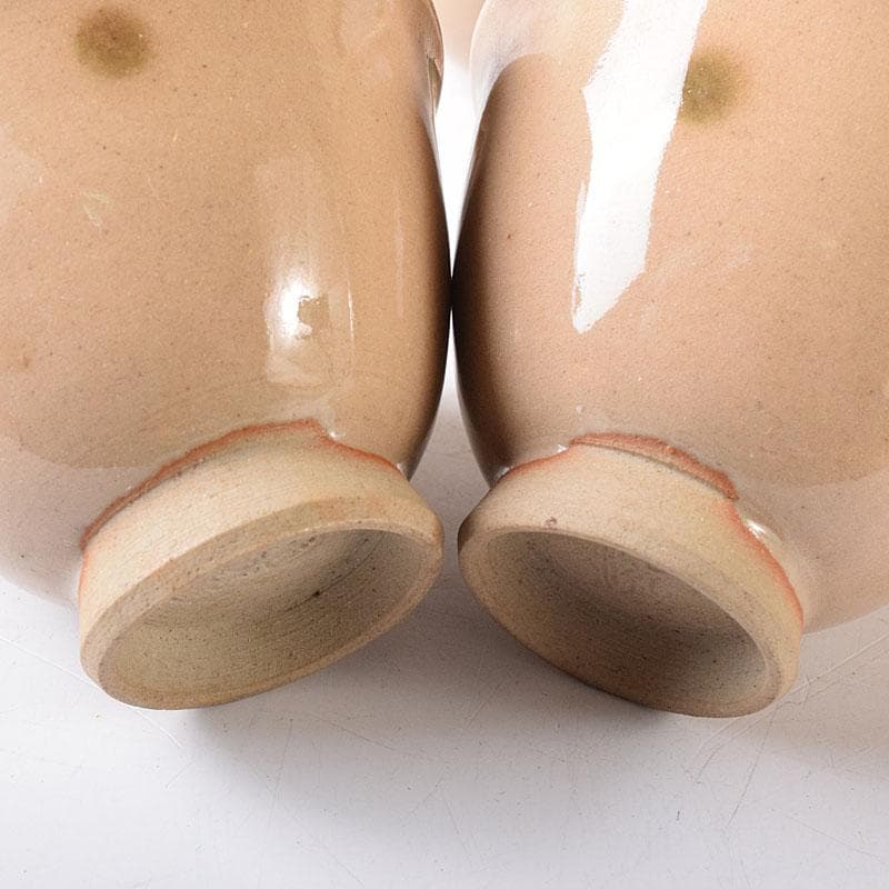 煎茶道具　虫明焼　煎茶器　5客　時代箱　V　8257