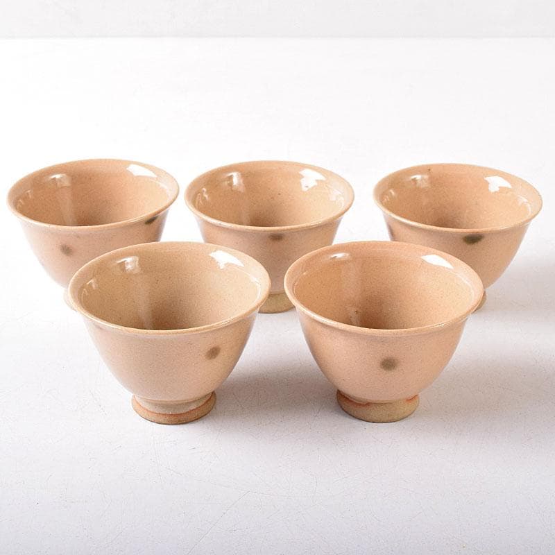 煎茶道具　虫明焼　煎茶器　5客　時代箱　V　8257