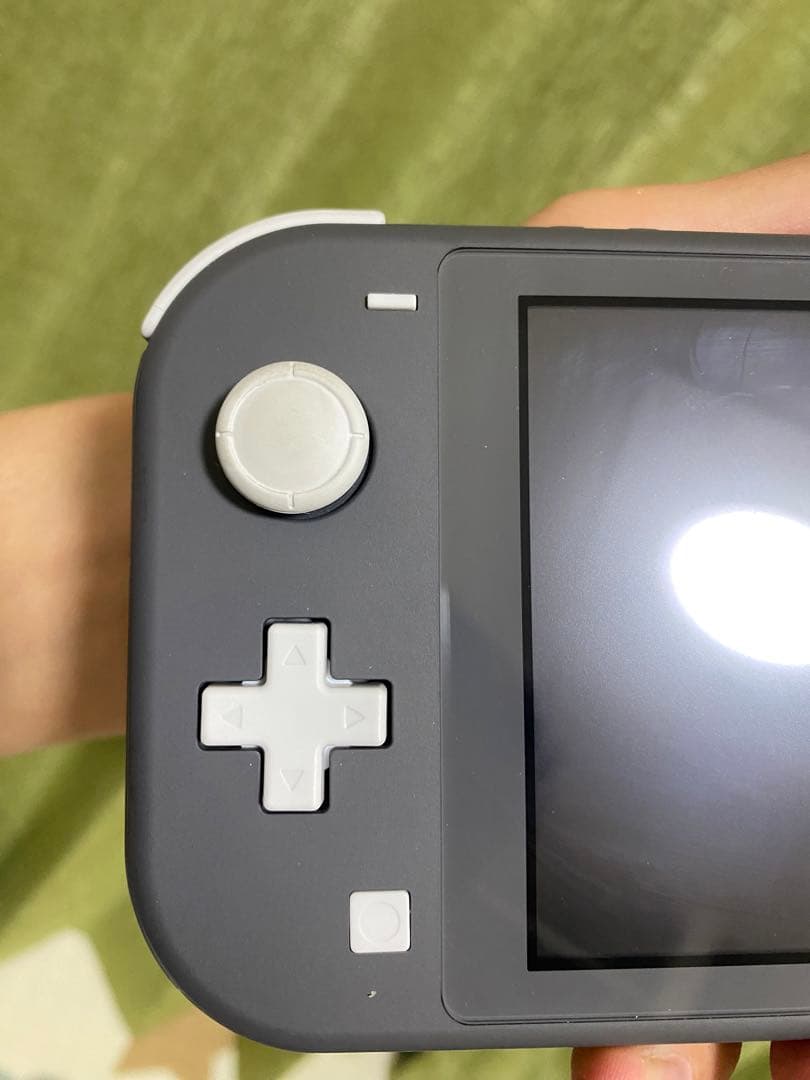 Nintendo Switch Lite グレー 本体美品2023/9/29購入