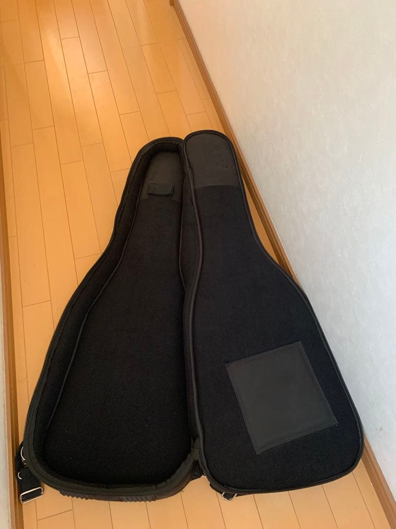 ギター momose MT-KORINA HH KNY