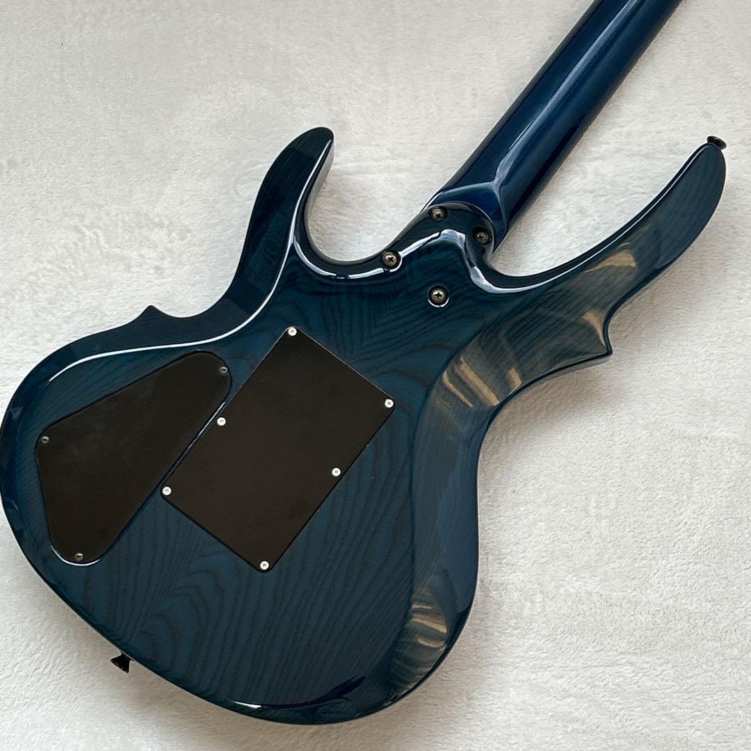 EDWARDS E-TN-98G エドワーズ アーム、汎用ソフトケース付