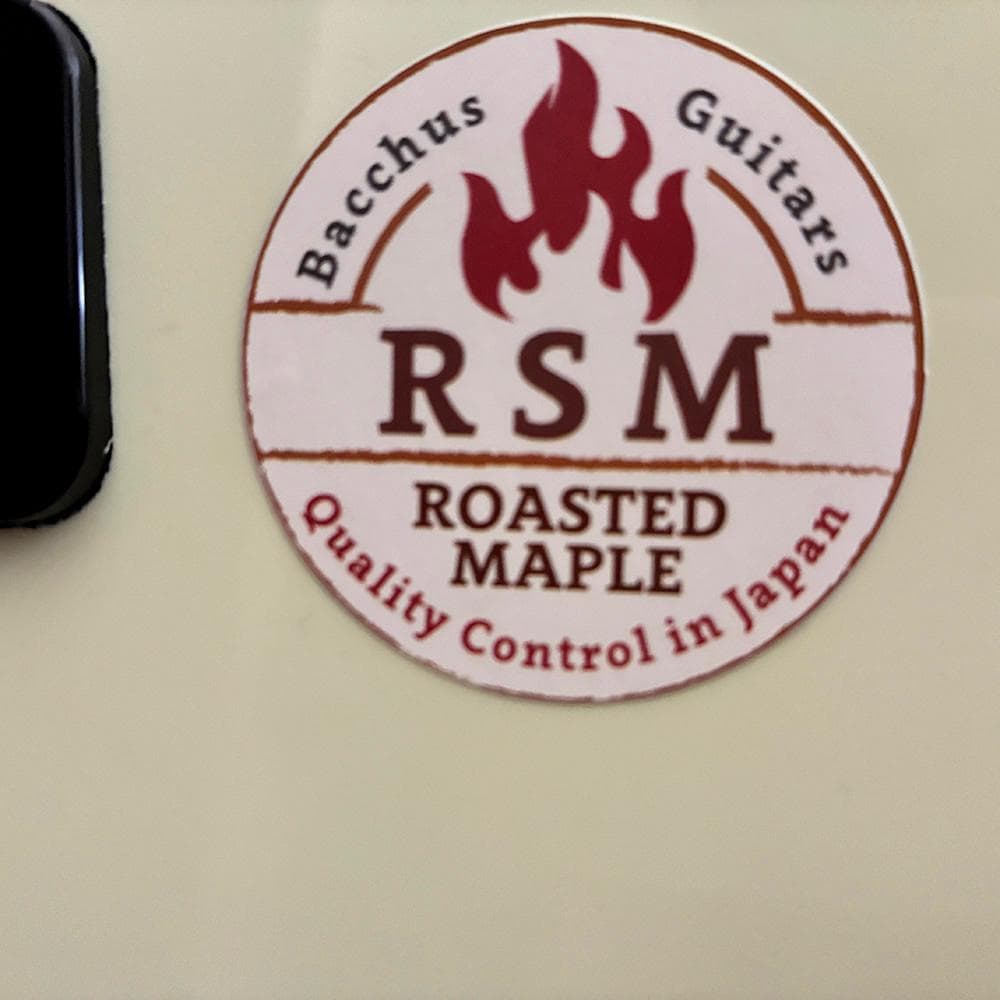 バッカス／テレキャスター☆Bacchus BTE-2-RSM/M BLK｜極美品