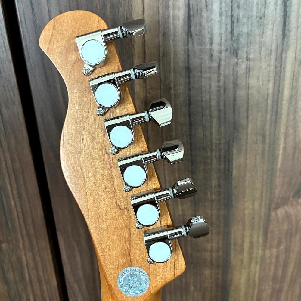 バッカス／テレキャスター☆Bacchus BTE-2-RSM/M BLK｜極美品