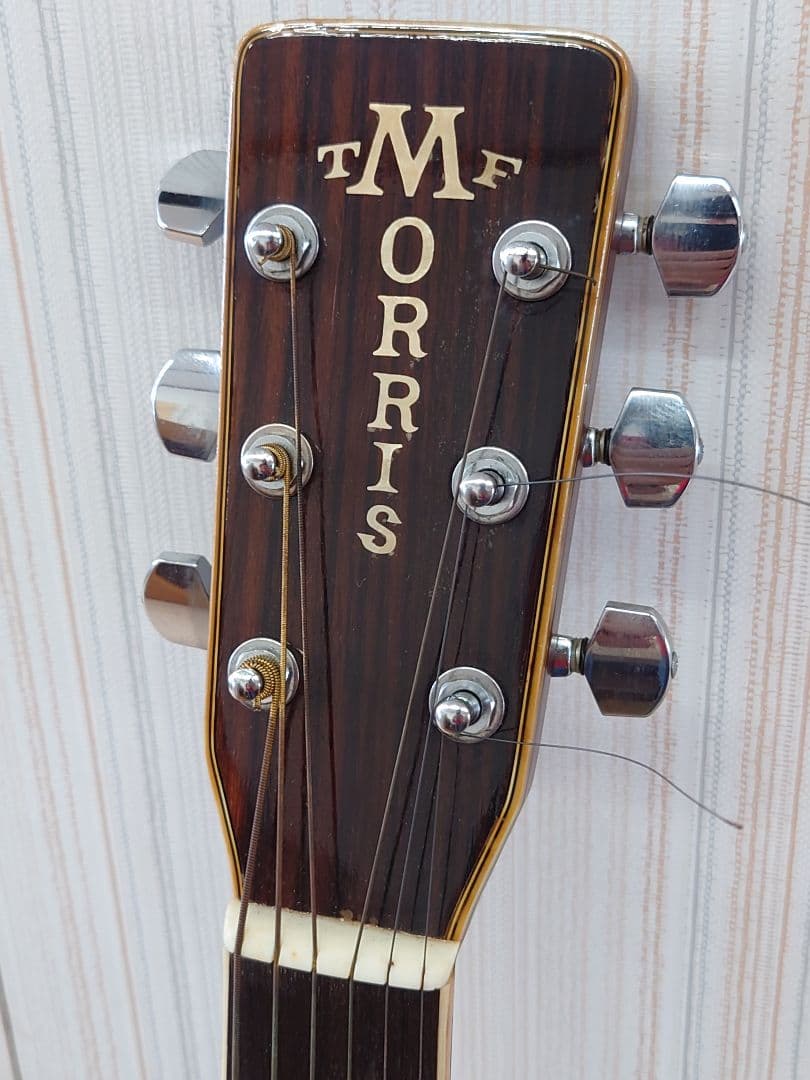 ナルト ギター Morris W-50 TF﻿