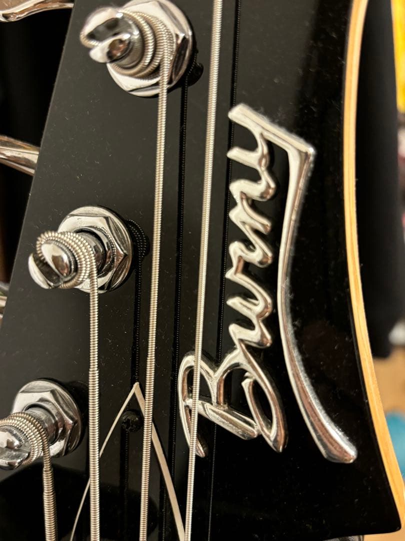 10FEET ナオキモデル ベース バーニー