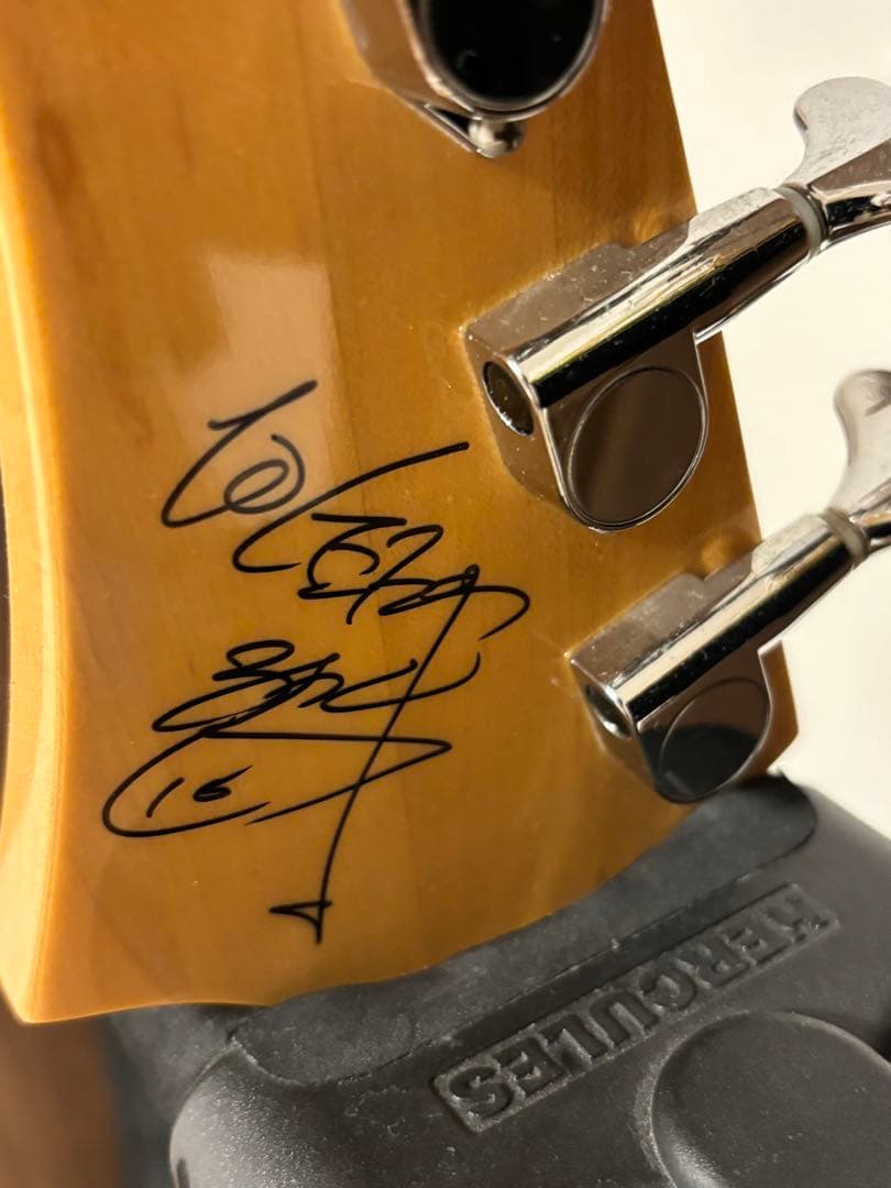 10FEET ナオキモデル ベース バーニー