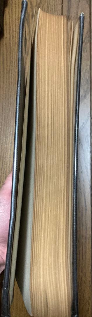 『佩文韻府』(はいぶんいんぷ) ８巻