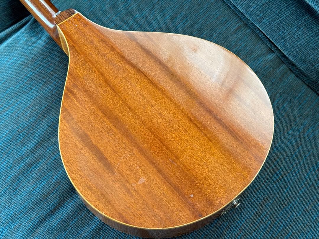 小坂弦楽器工房　アイリッシュブズーキ