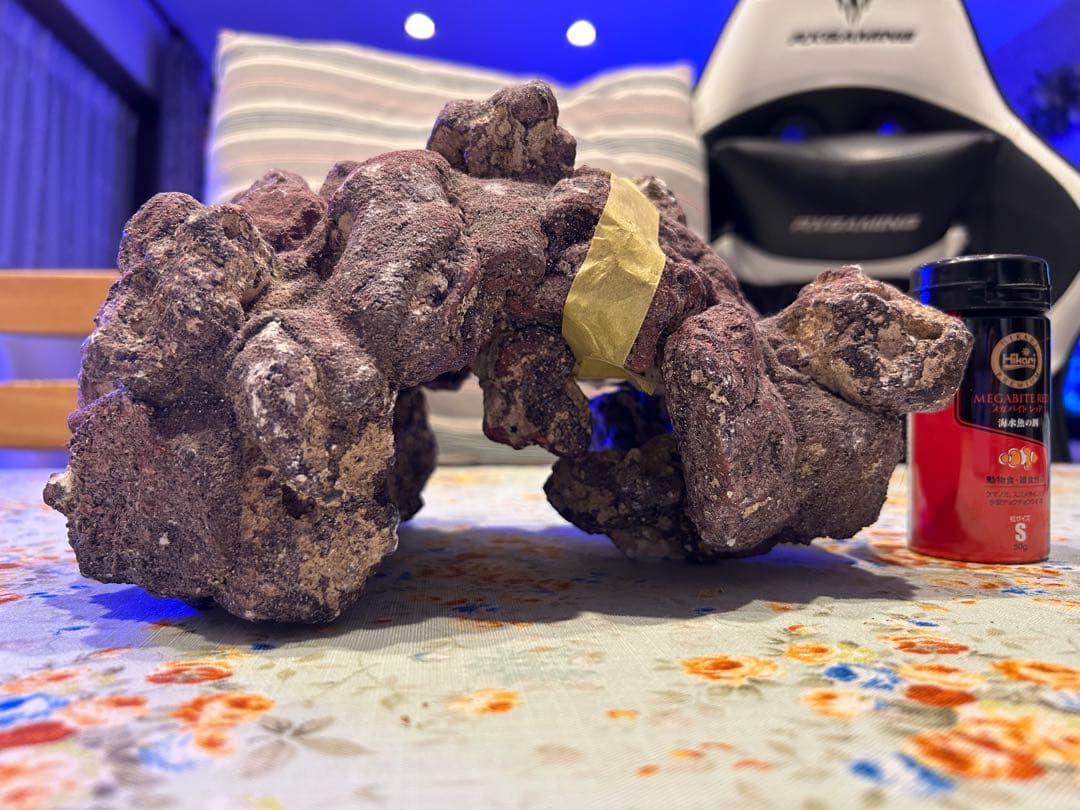 ライブロック新品未使用　休眠バクテリア付き　ドーム型　横幅 25cm、4kg