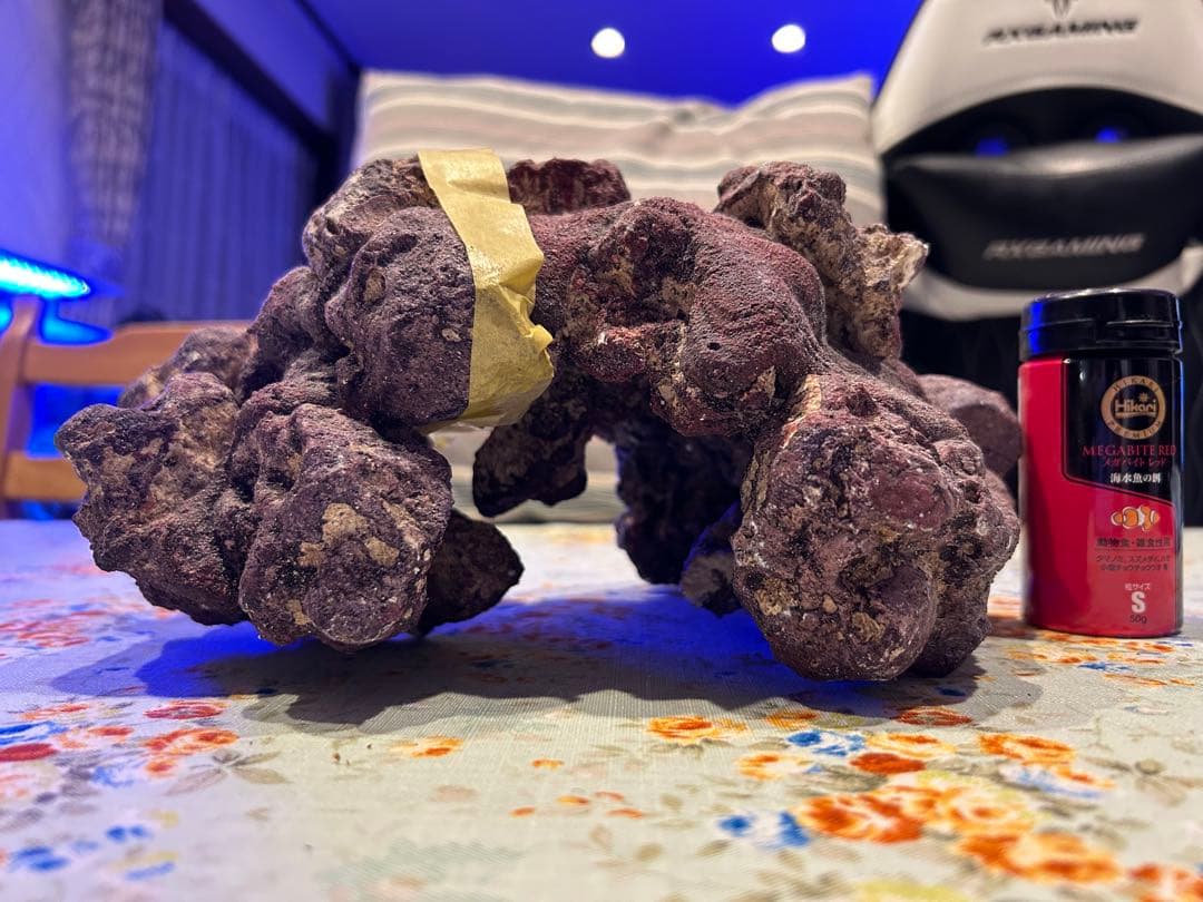 ライブロック新品未使用　休眠バクテリア付き　ドーム型　横幅 25cm、4kg