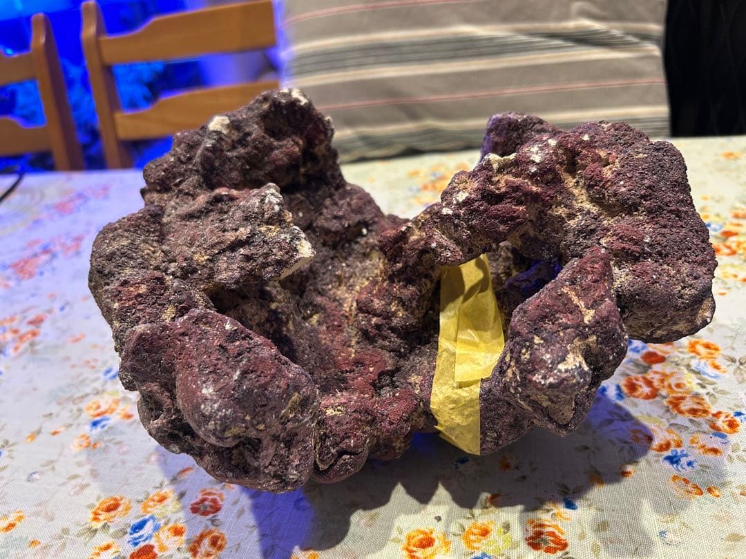 ライブロック新品未使用　休眠バクテリア付き　ドーム型　横幅 25cm、4kg