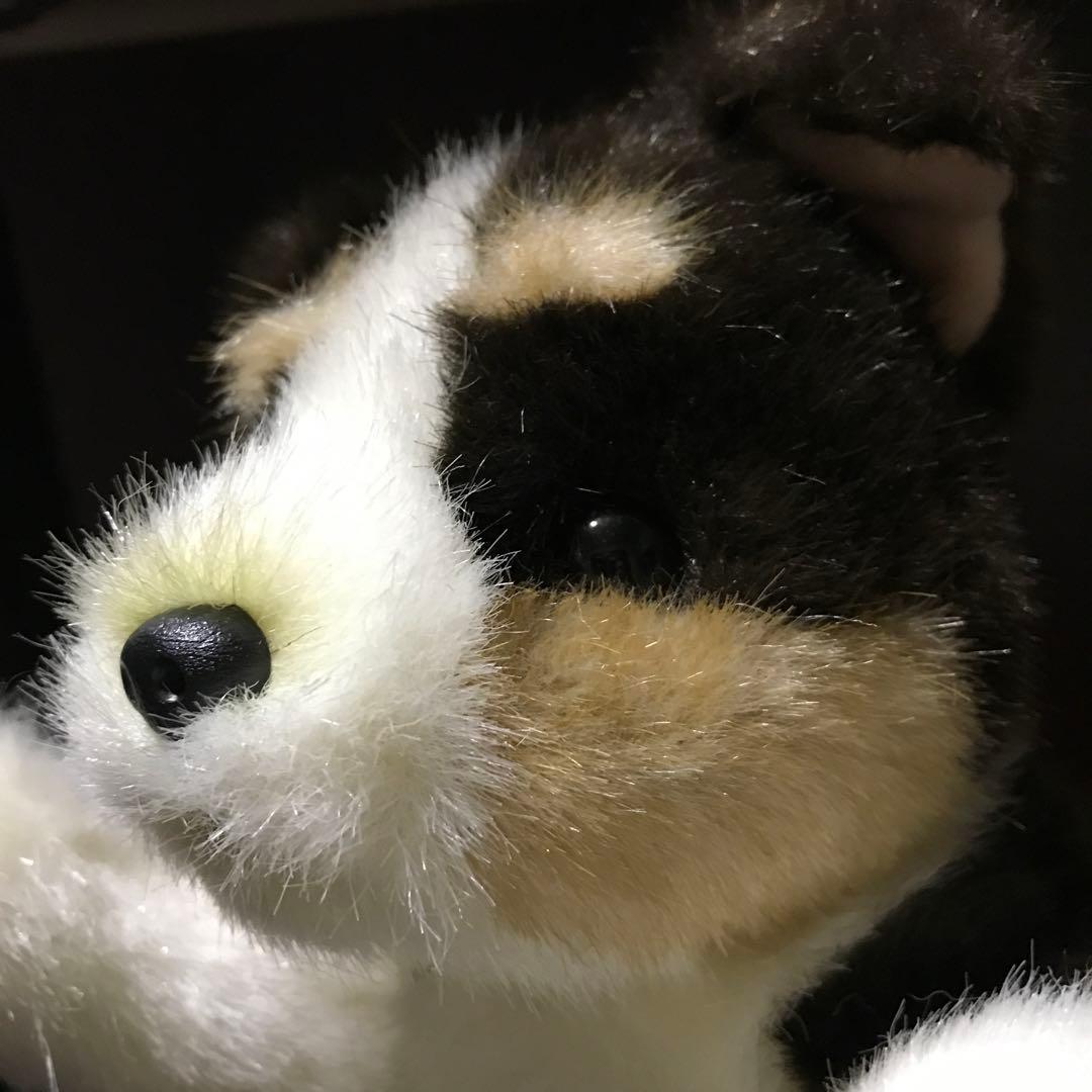 ぬいぐるみ　犬　いぬ　シェルティー　仔犬　サンアロー　レトロ❣️