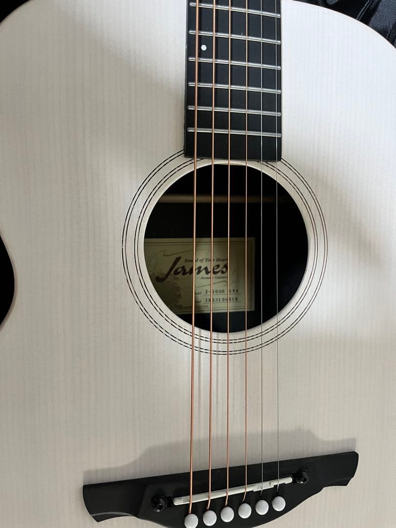 James ジェームス J-300S アコースティックギター