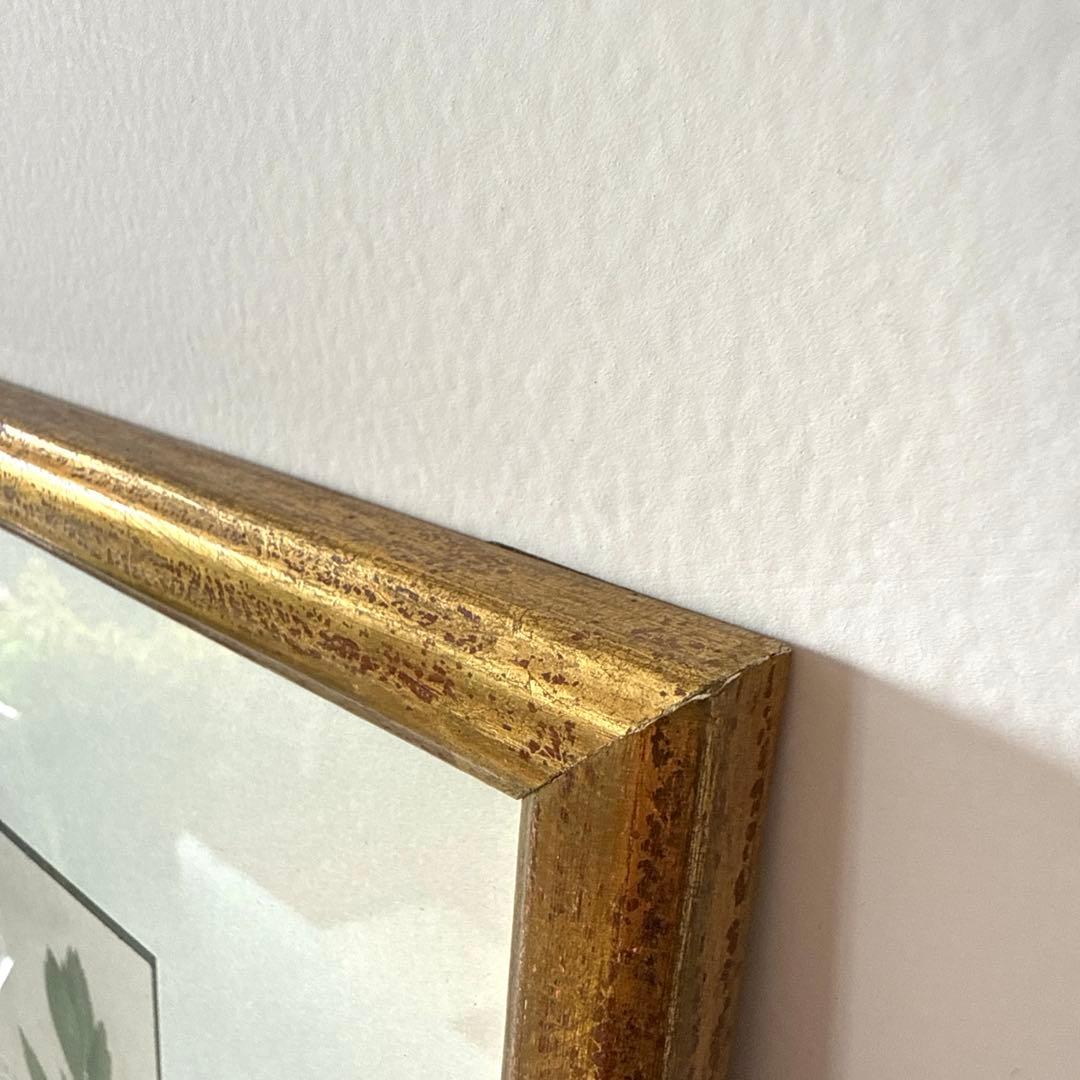 ボタニカルアート額縁絵　アンティーク