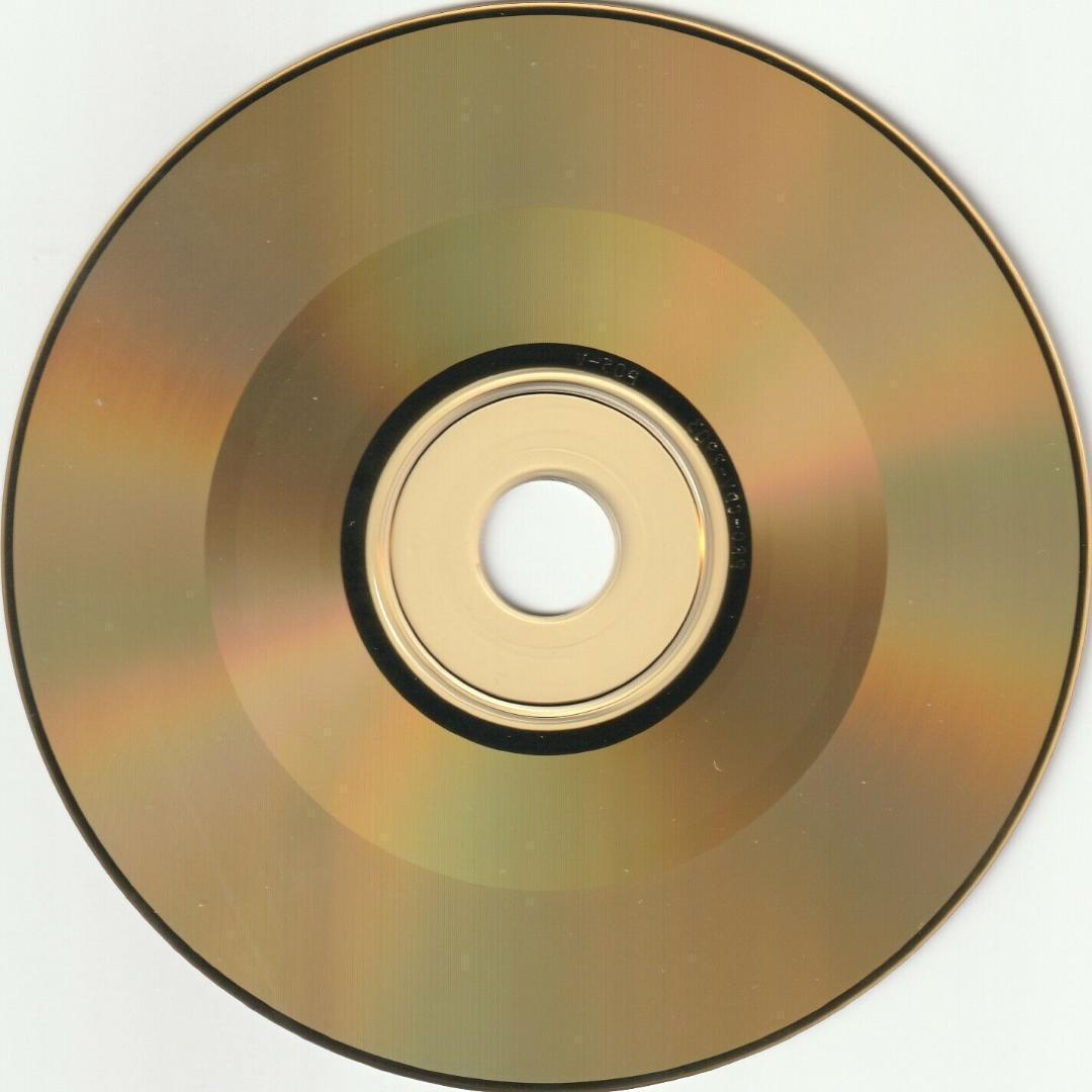 マドンナ　Papa Don't Preach　貴重盤 ゴールド CDビデオ