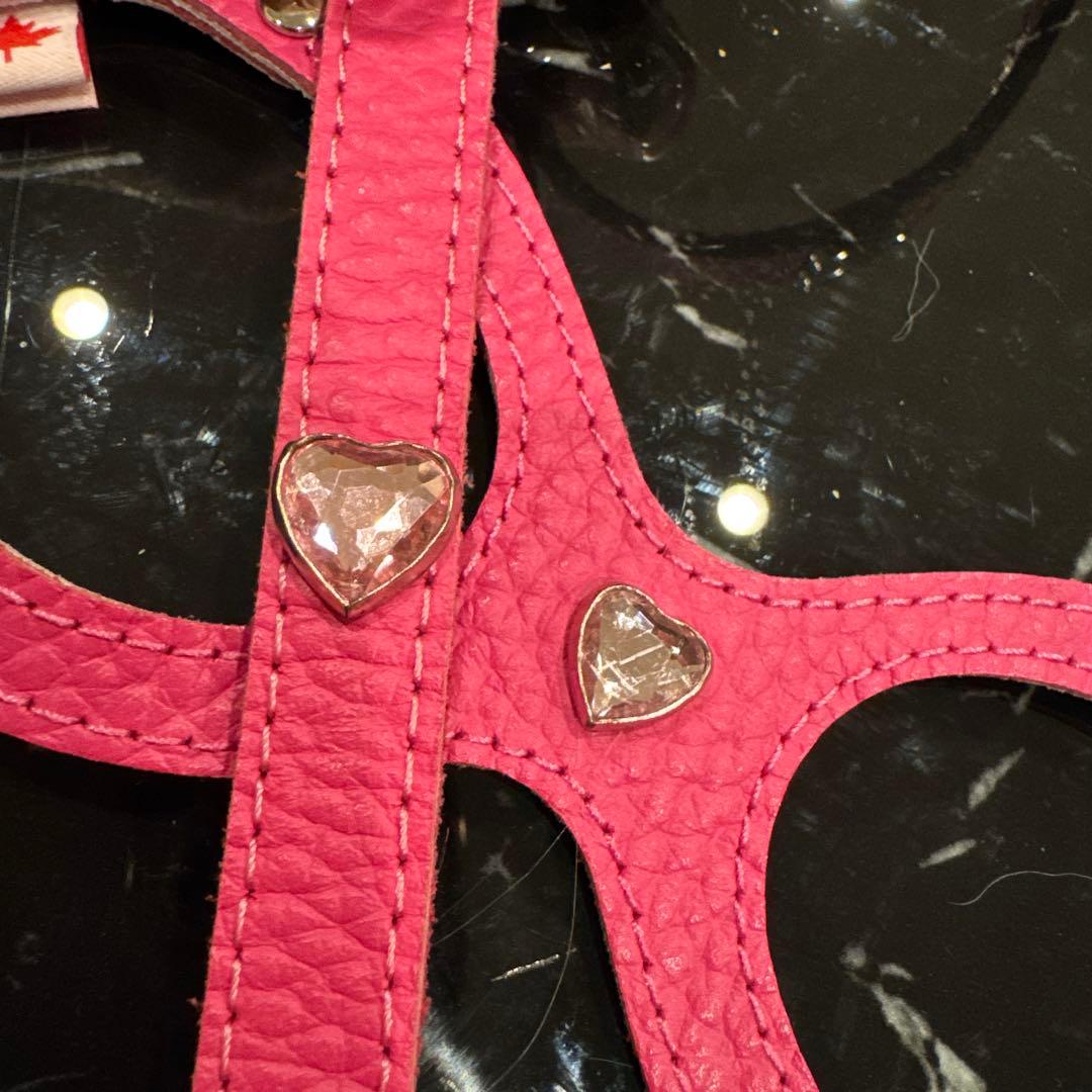 BB バディーベルト2 ピンク ハーネスリードセット