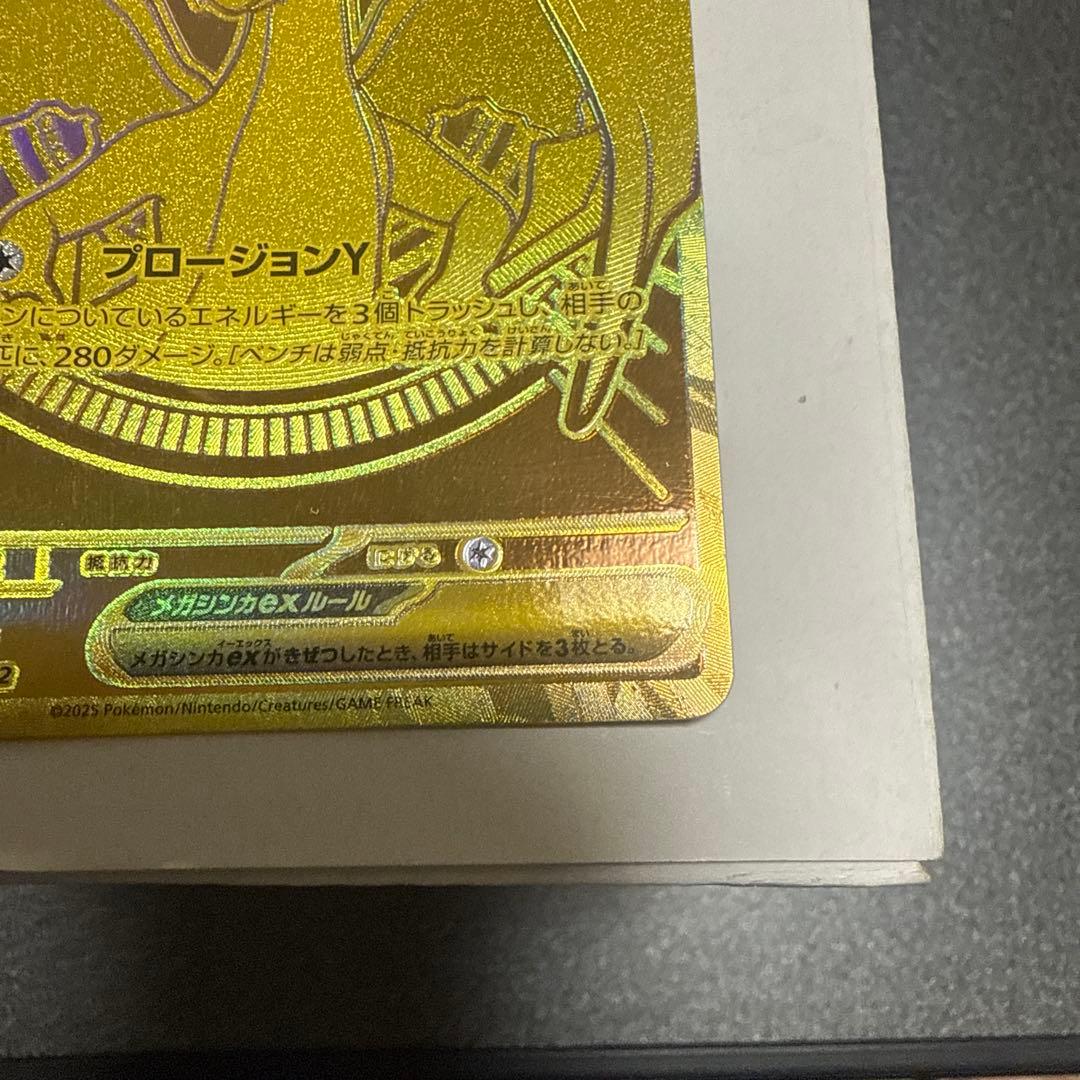 リザードン y mur