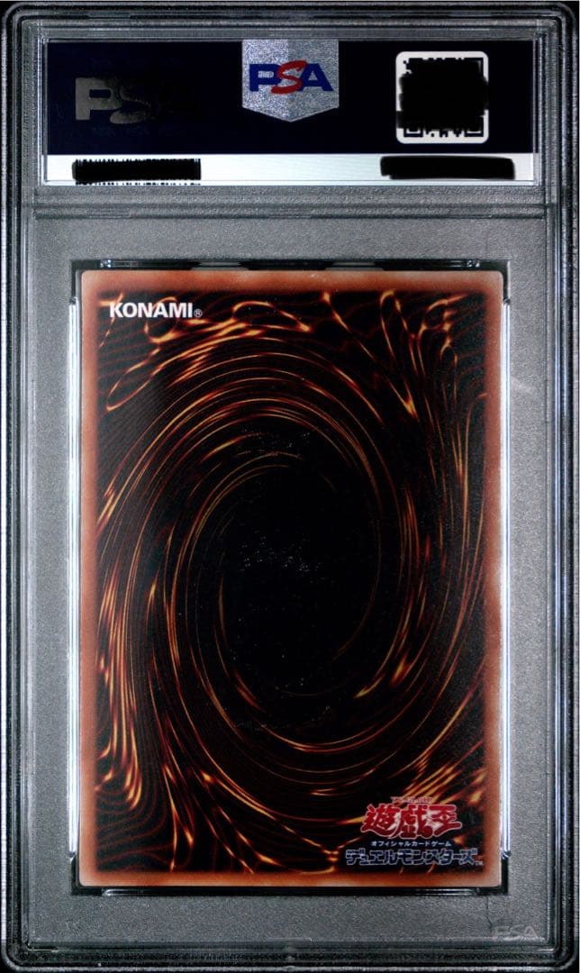 真紅眼の黒竜　パラレル