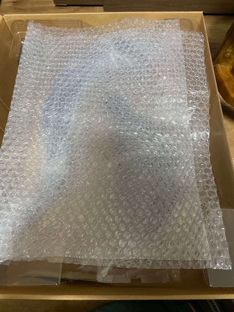 【週末限定値下げ】シンゴジラ　東宝30cmシリーズ　少年リック限定版(初期版)