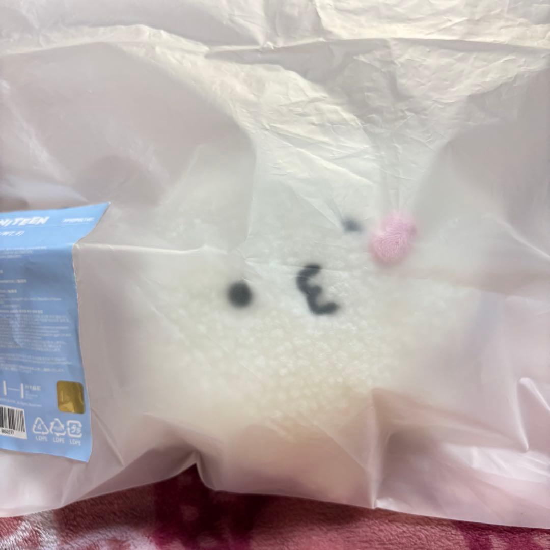 ピョプリ ぬいぐるみ miniteen