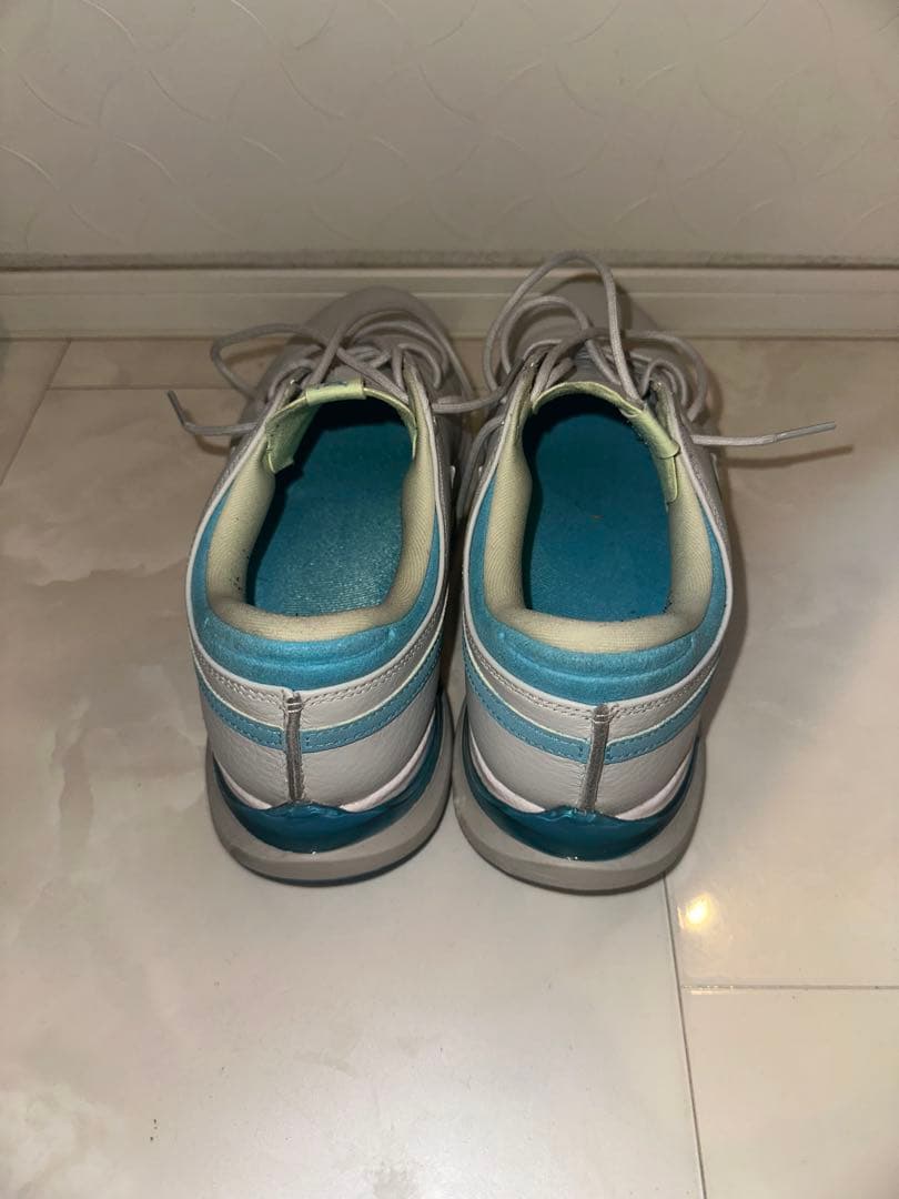 Nike ゴルフシューズ スパイク