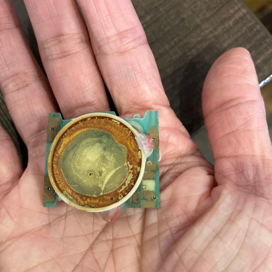 ダヤン ぬいぐるみ チップ