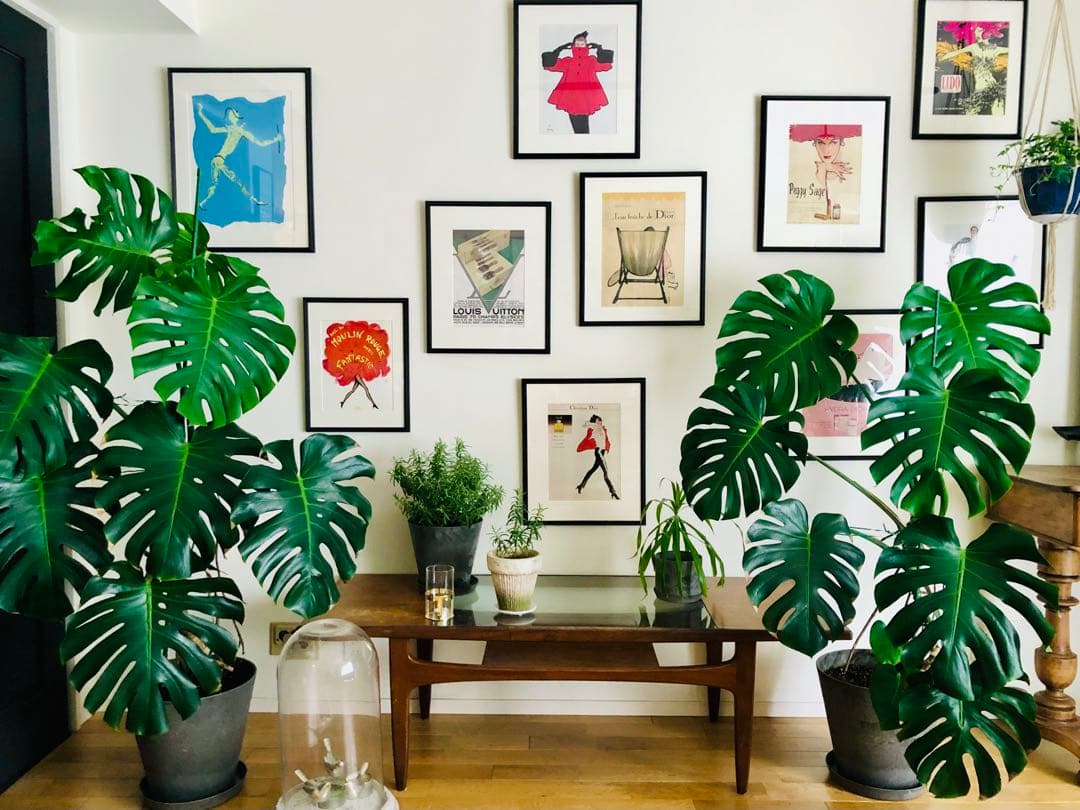 1980's ヴィンテージポスター(Van Cleef&Arpels)