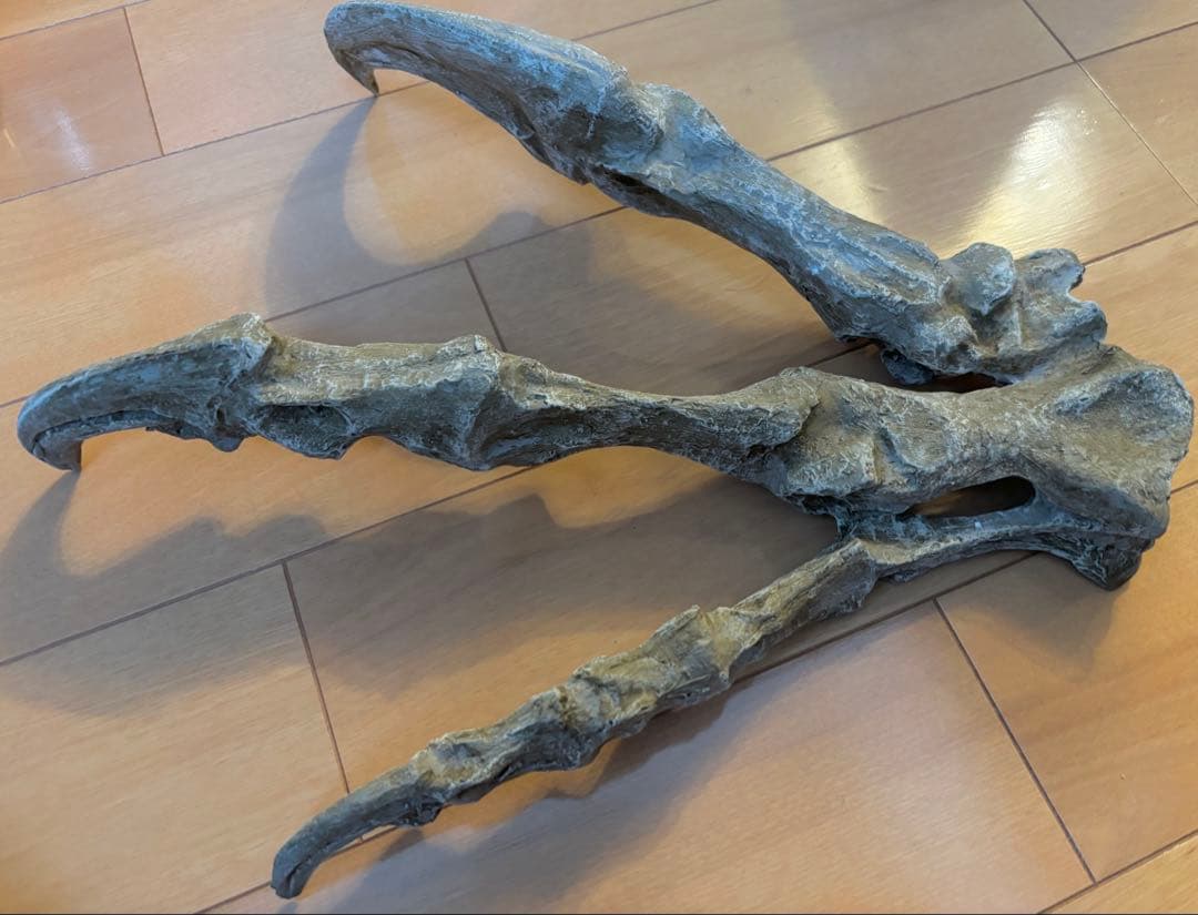 恐竜　化石　アロサウルス　鉤爪　レプリカ　1点のみ