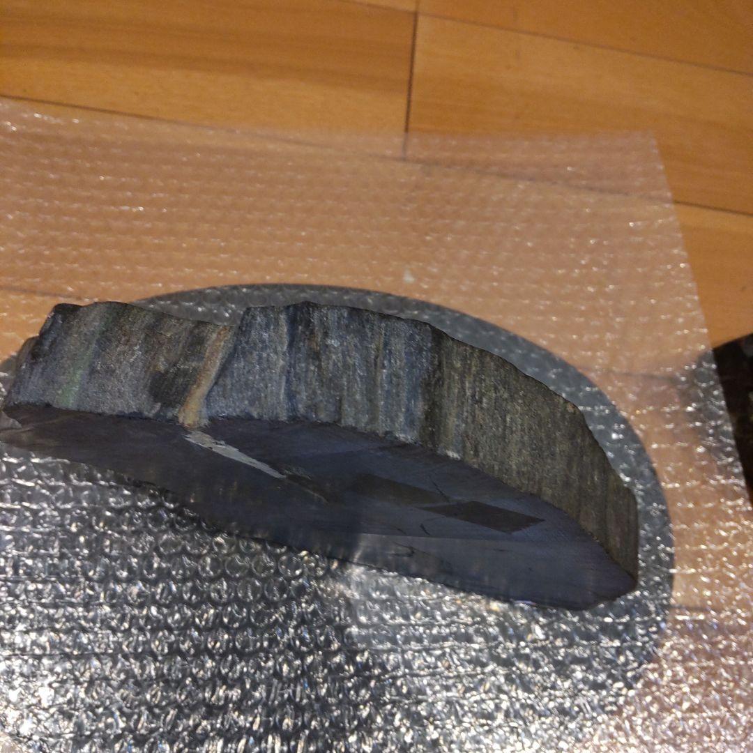 #化石(樹木)６月 価格