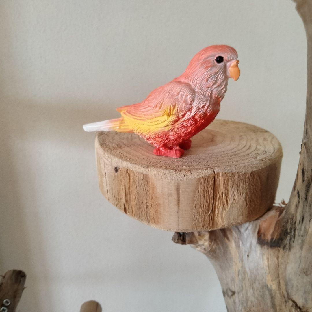 ocean バードアスレチックジム 天然木 自然木 流木 止まり木 インコ