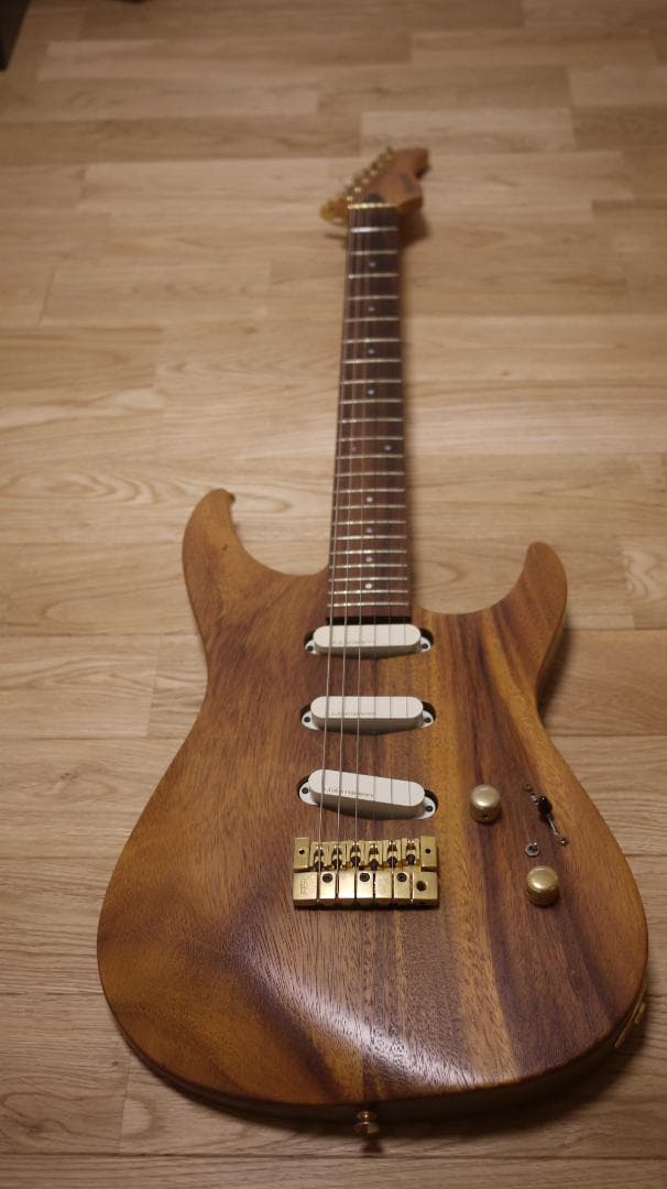 FERNANDES REVOLVER FR-100 モンキーポッド