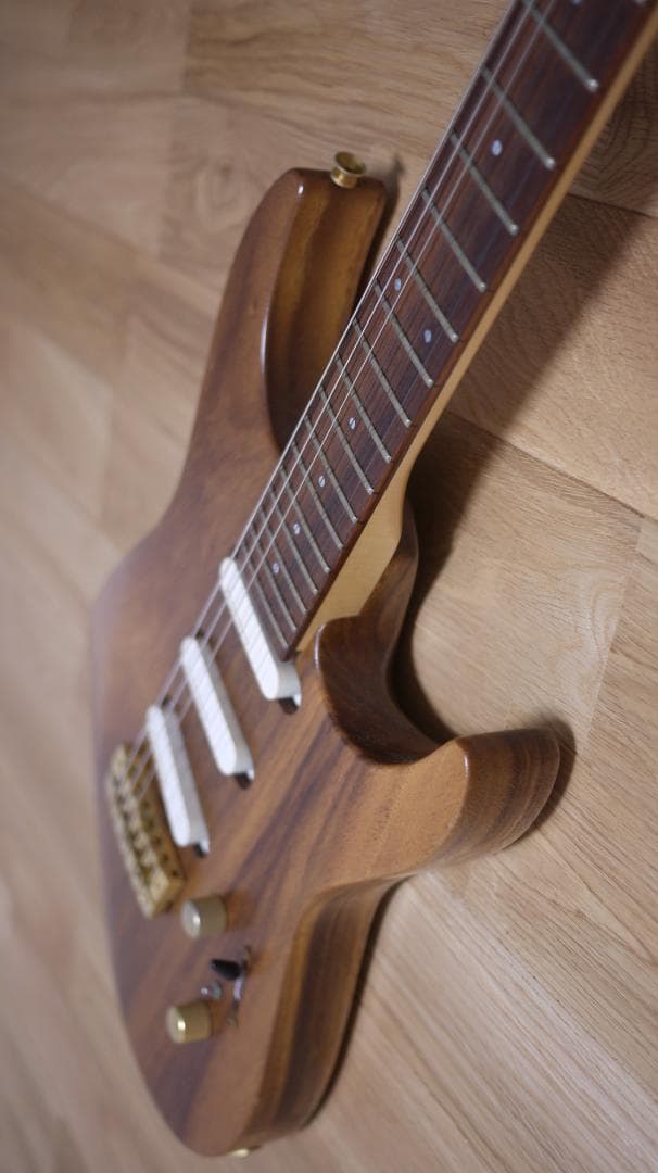 FERNANDES REVOLVER FR-100 モンキーポッド