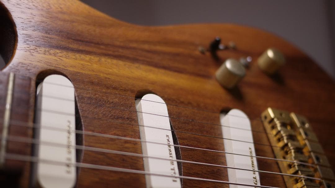 FERNANDES REVOLVER FR-100 モンキーポッド