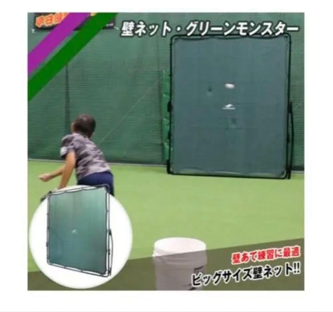 【ひかるさん専用】 壁ネット グリーンモンスター FKB-2620N