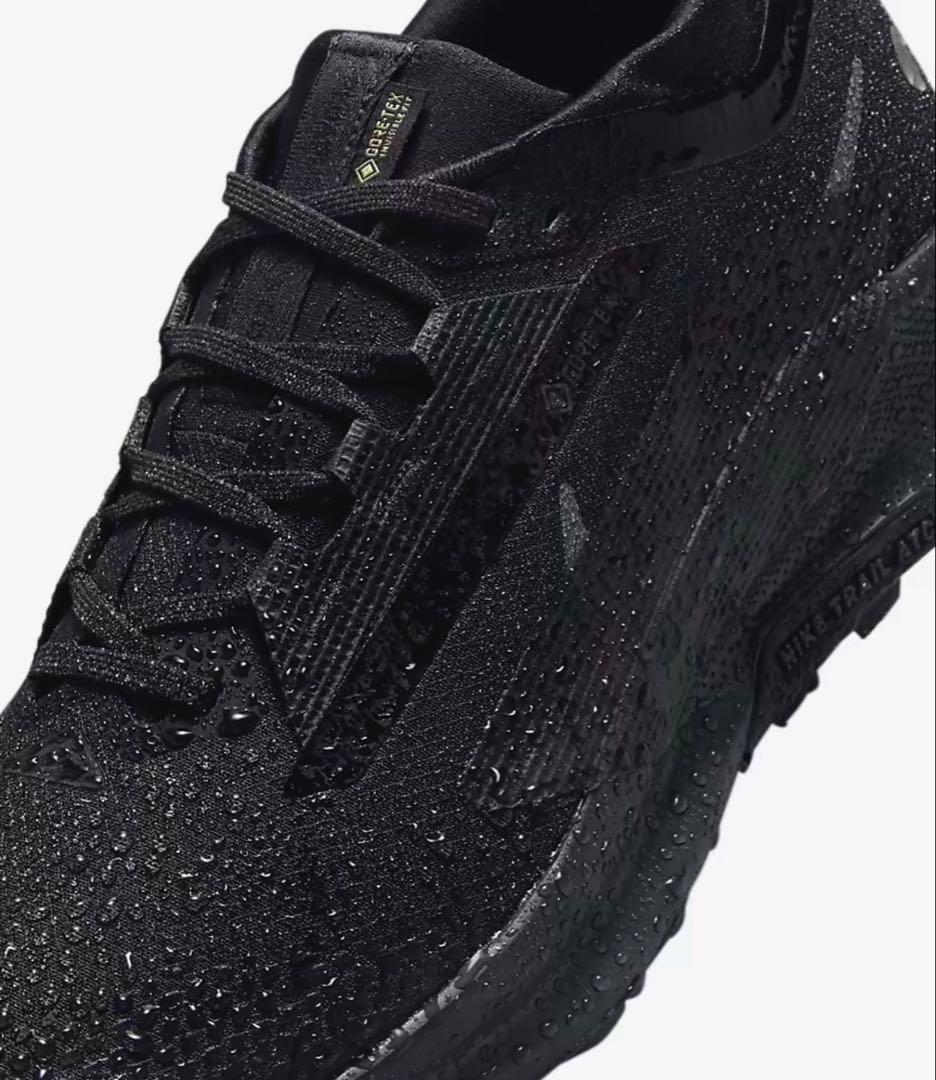 ナイキ ペガサス トレイル 5 GORE-TEX 27.5㎝