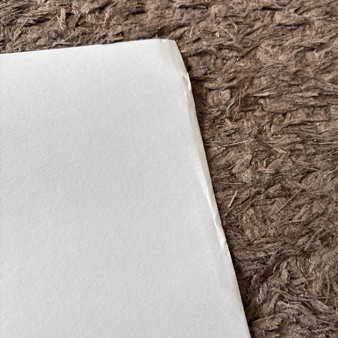 チャーリー・ブラウン VS スヌーピー ポスター