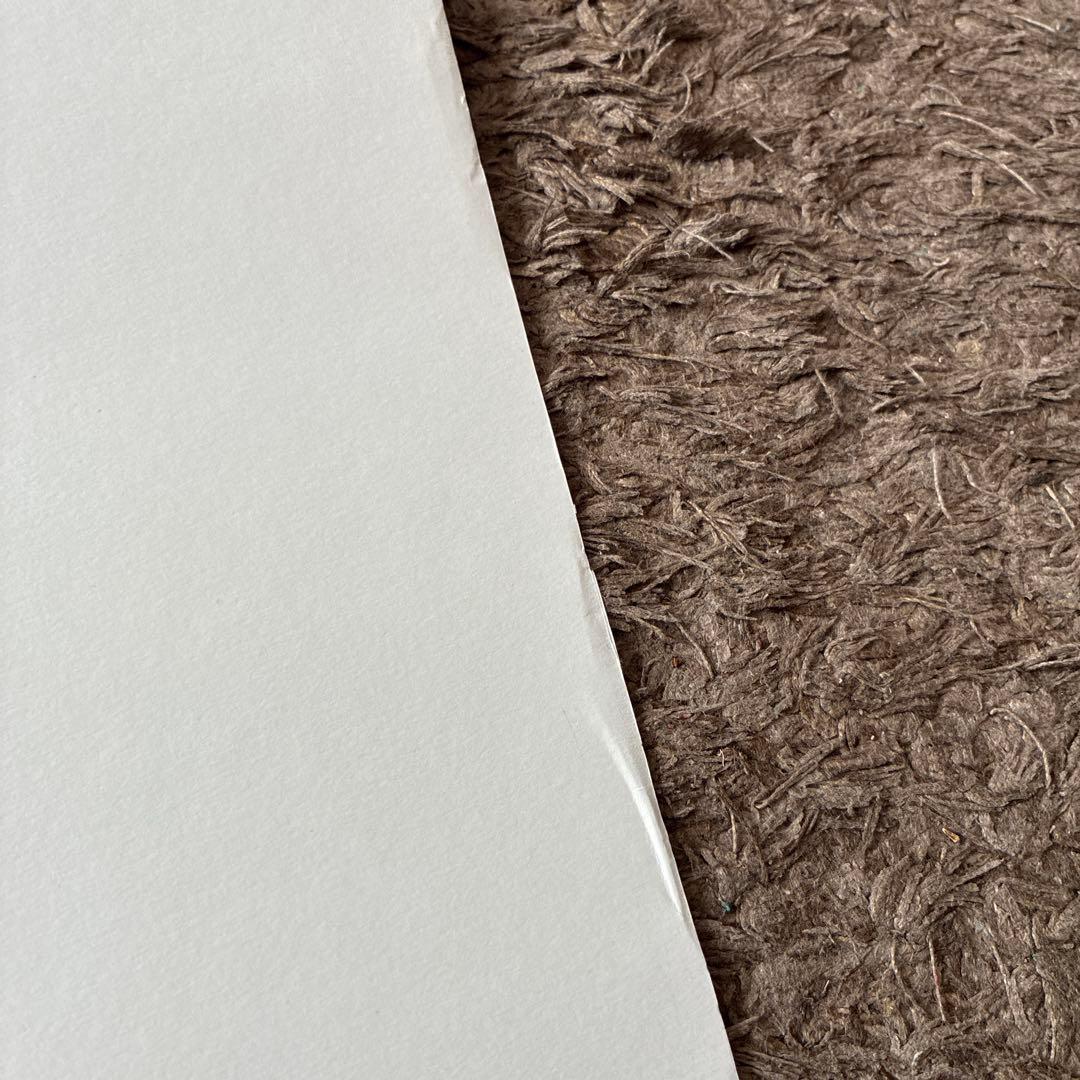 チャーリー・ブラウン VS スヌーピー ポスター