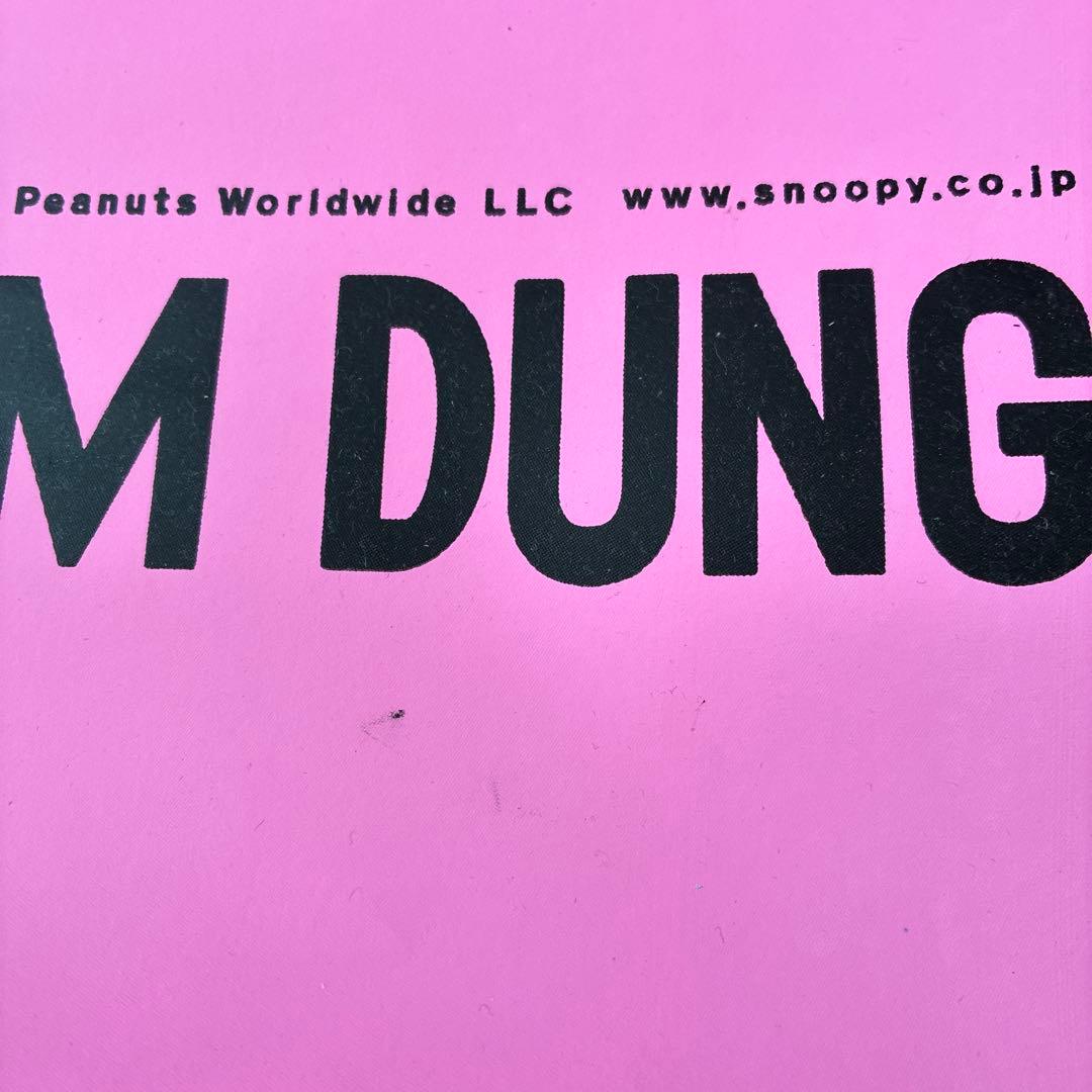 チャーリー・ブラウン VS スヌーピー ポスター