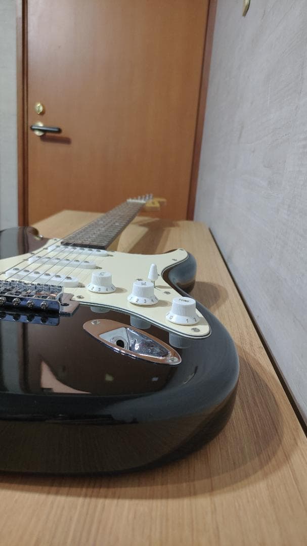 Selder エレキギター (8点セット)