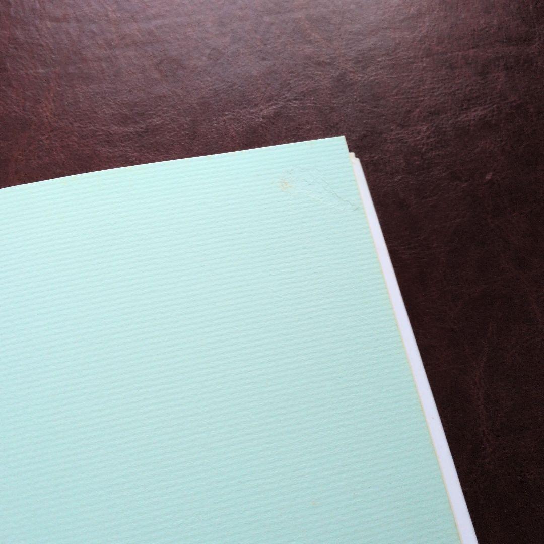 写真のアルケオロジー　ジェフリー・バッチェン